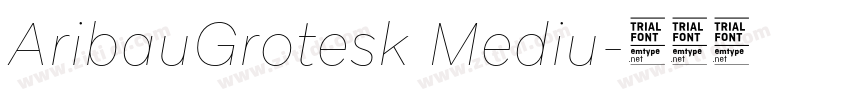 AribauGrotesk Mediu字体转换